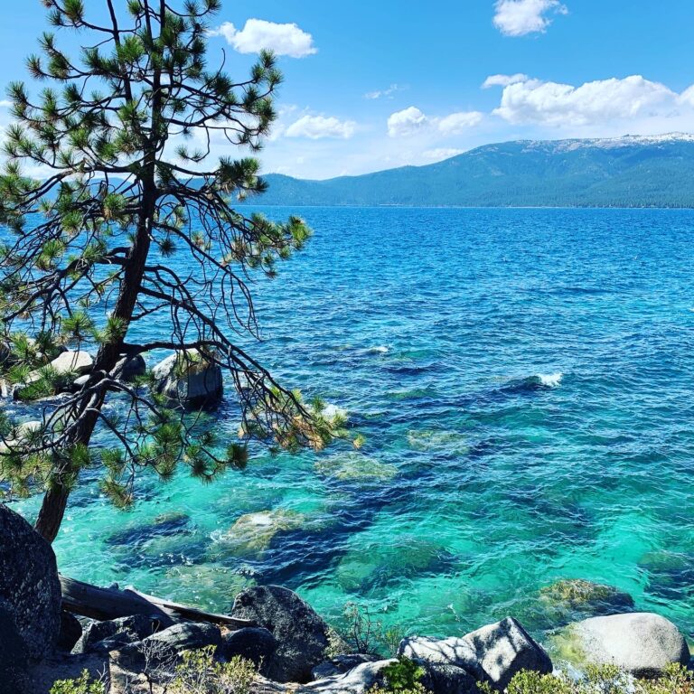 Lighting My Way Home