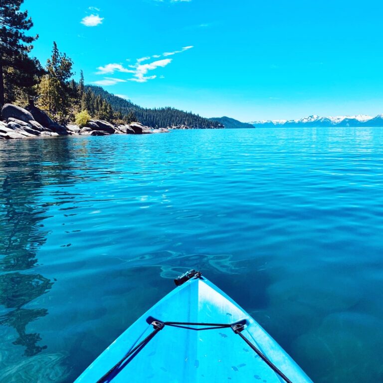 Darkness dispelled by the Light