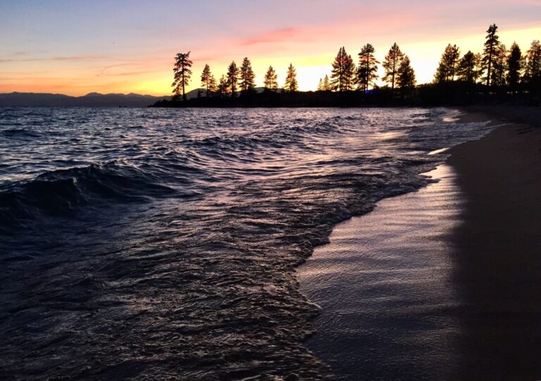 A Treat Brightens my Day